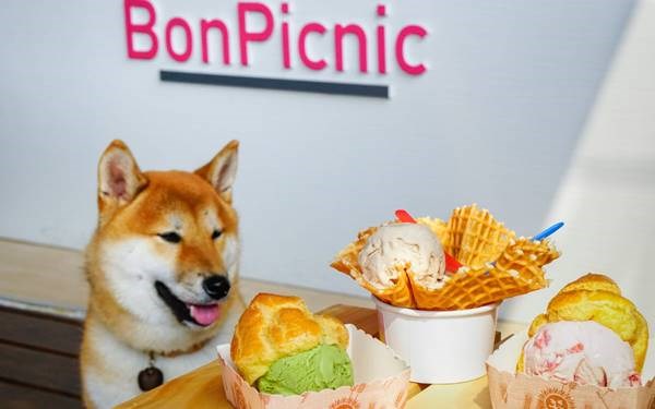 BonPicnic 小野餐